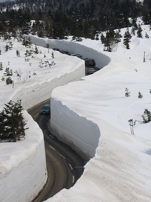 Snow Road